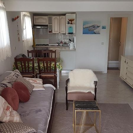 Apartment Branka Labin  Kültér fotó
